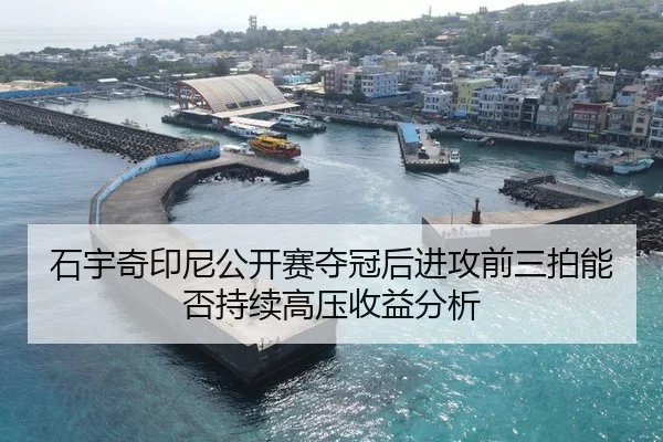石宇奇印尼公开赛夺冠后进攻前三拍能否持续高压收益分析
