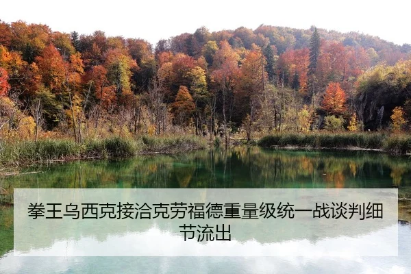 quan-wang-wu-xi-ke-jie-qia-ke-lao-fu-de-zhong-liang-ji-tong-yi-zhan-tan-pan-xi-jie-liu-chu-2-531.jpg