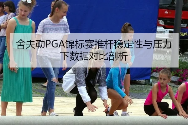 she-fu-lei-jin-biao-sai-tui-gan-wen-ding-xing-yu-ya-li-xia-shu-ju-dui-bi-pou-xi-3-662.jpg